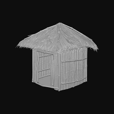 Environment